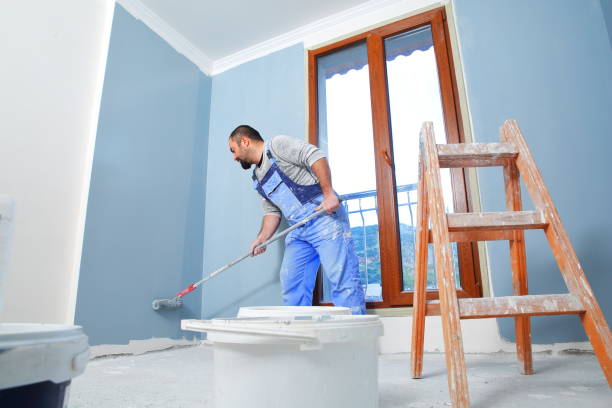Best Emergency Mold Remediation  in Brooksville, MS