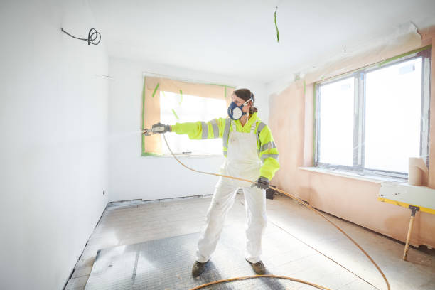 Best Basement Mold Removal  in Brooksville, MS