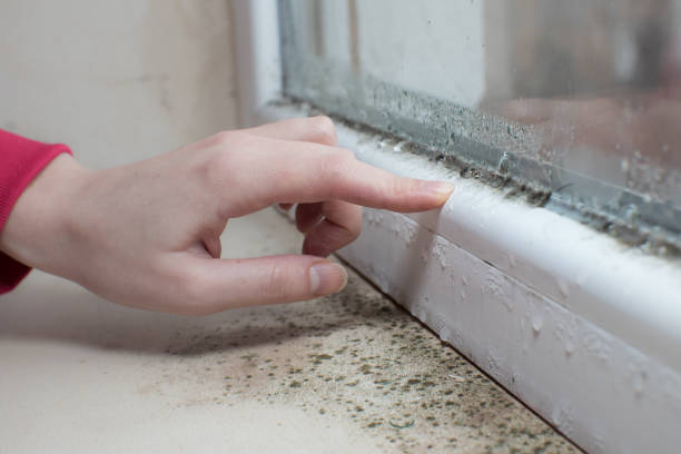 Best Airborne Mold Testing  in Brooksville, MS