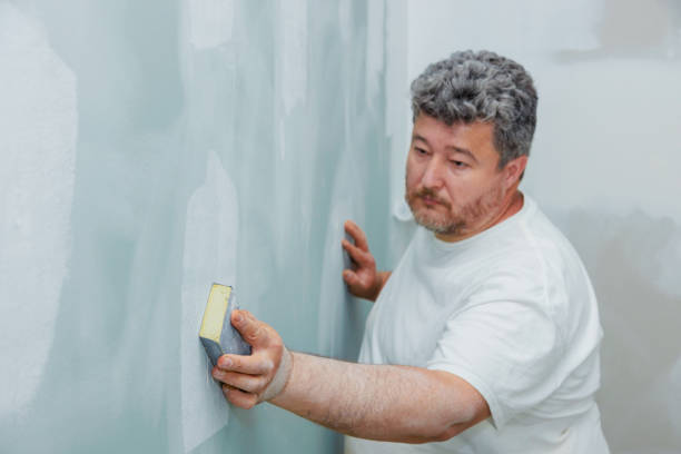 Best Water Damage & Mold Remediation  in Brooksville, MS