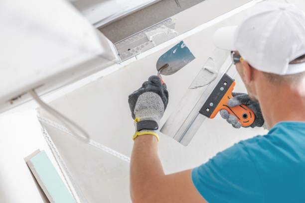 Asbestos and Lead Testing During Mold Inspection in Brooksville, MS